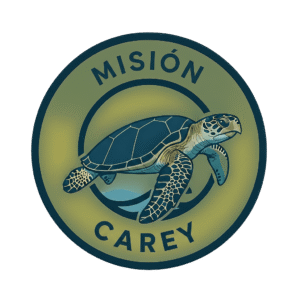 gemini generated image p7xrdpp7xrdpp7xr (1)